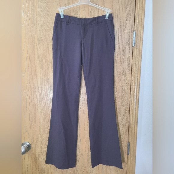 Marc Jacobs Pants - Marc Jacobs Deep Plum Bootcut Wool Blend Dress Pants